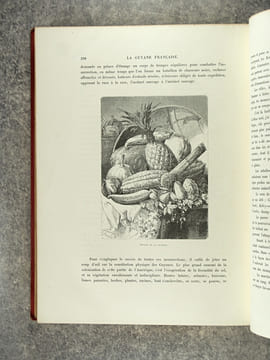 LA GUYANE FRANCAISE, NOTES ET SOUVENIRS D’UN VOYAGE EXECUTE EN 1862-1863 PAR FREDERIC BOUYER, CAPITAINE DE FREGATE. OUVRAGE ILLUSTRE DE TYPES, DE ...