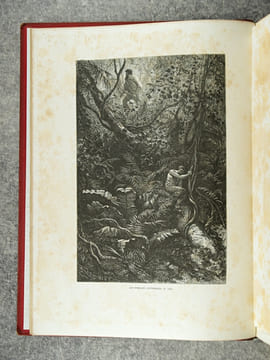 LA GUYANE FRANCAISE, NOTES ET SOUVENIRS D’UN VOYAGE EXECUTE EN 1862-1863 PAR FREDERIC BOUYER, CAPITAINE DE FREGATE. OUVRAGE ILLUSTRE DE TYPES, DE ...