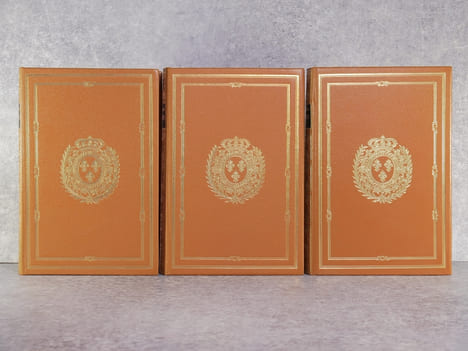 MEMOIRES DE MR D'ARTAGNAN, CAPITAINE LIEUTENANT DE LA PREMIERE COMPAGNIE DES MOUSQUETAIRES DU ROI, CONTENANT QUANTITE DE CHOSES PARTICULIERES ET ...