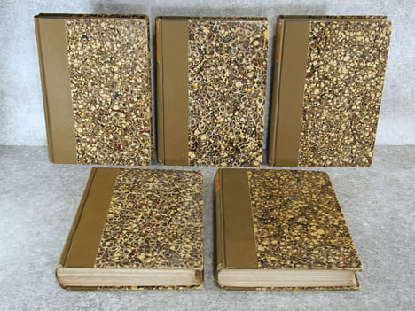 TRADITIONS ET SOUVENIRS, OU MEMOIRES TOUCHANT LE TEMPS ET LA VIE DU GENERAL AUGUSTE COLBERT (1793-1809), PAR N.-J. COLBERT, MARQUIS DE CHABANAIS (SON ...