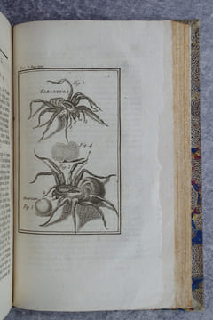OPERA OMNIA MEDICO-PRACTICA, ET ANATOMICA. NOVAM EDITIONEM, MENDIS INNUMERIS EXPURGATAM, NOTIS ILLUSTRAVIT & PRAEFATUS EST PH. PINEL, D. M.. BAGLIVI ...