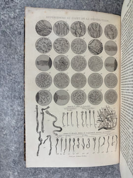 OEUVRES COMPLETES, AVEC DES EXTRAITS DE DAUBENTON, ET LA CLASSIFICATION DE CUVIER. . BUFFON. (GEORGES-LOUIS LECLERC, COMTE DE. 1707-1788).