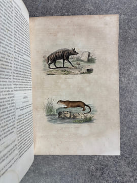 OEUVRES COMPLETES, AVEC DES EXTRAITS DE DAUBENTON, ET LA CLASSIFICATION DE CUVIER. . BUFFON. (GEORGES-LOUIS LECLERC, COMTE DE. 1707-1788).
