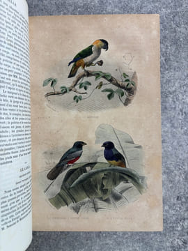 OEUVRES COMPLETES, AVEC DES EXTRAITS DE DAUBENTON, ET LA CLASSIFICATION DE CUVIER. . BUFFON. (GEORGES-LOUIS LECLERC, COMTE DE. 1707-1788).