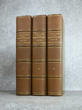 DOCUMENTS HISTORIQUES SUR LE TARN-ET-GARONNE. DIOCESE, ABBAYES, CHAPITRES, COMMANDERIES, EGLISES, SEIGNEURIES, ETC.. MOULENQ FRANCOIS (1814-1892).
