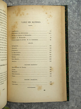DOCUMENTS HISTORIQUES SUR LE TARN-ET-GARONNE. DIOCESE, ABBAYES, CHAPITRES, COMMANDERIES, EGLISES, SEIGNEURIES, ETC.. MOULENQ FRANCOIS (1814-1892).