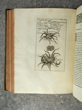 OPERA OMNIA MEDICO-PRACTICA, ET ANATOMICA. EDITIO ACCURATISSIMA, CUI PRAETER DISSERTATIONES, & ALIOS TRACTATUS PRAECEDENTIBUS EDITIONIBUS ADJUNCTOS, ...