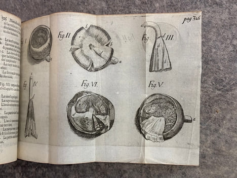 NOUVELLES DE LA REPUBLIQUE DES LETTRES. MOIS DE MARS 1684 - MOIS DE JUIN 1700. . BAYLE PIERRE (1647-1706). LARROQUE (DANIEL DE. 1660-1731). BERNARD ...