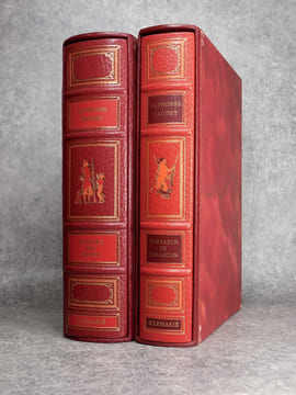 CONTES DU LUNDI. TARTARIN DE TARASCON. ILLUSTRATIONS DE HENRY LEMARIE. . DAUDET ALPHONSE (1840-1897).