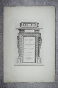 OEUVRE. 20 CHEMINEES. SERIE COMPLETE. HELIOGRAVURE PAR EDOUARD BALDUS.
