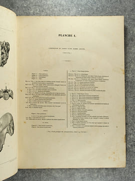 TRAITE PRATIQUE DES ACCOUCHEMENTS PAR F. J. MOREAU. ATLAS DE PLANCHES EXECUTEES D’APRES NATURE PAR EMILE BEAU, SUR LES PREPARATIONS ANATOMIQUES DE M. ...