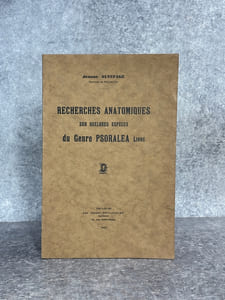 RECHERCHES ANATOMIQUES SUR QUELQUES ESPECES DU GENRE PSORALEA LINNE. 