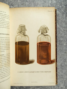 TRAITE DES MALADIES DES VINS. DESCRIPTION – ETUDE – TRAITEMENT. AVEC UNE PREFACE PAR U. GAYON. AVEC 13 PLANCHES HORS TEXTE ET 116 FIGURES DANS LE ...