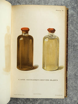 TRAITE DES MALADIES DES VINS. DESCRIPTION – ETUDE – TRAITEMENT. AVEC UNE PREFACE PAR U. GAYON. AVEC 13 PLANCHES HORS TEXTE ET 116 FIGURES DANS LE ...