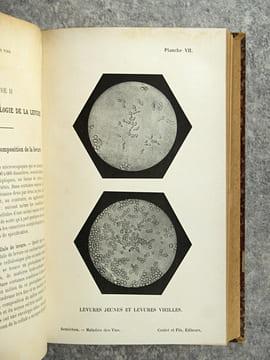 TRAITE DES MALADIES DES VINS. DESCRIPTION – ETUDE – TRAITEMENT. AVEC UNE PREFACE PAR U. GAYON. AVEC 13 PLANCHES HORS TEXTE ET 116 FIGURES DANS LE ...