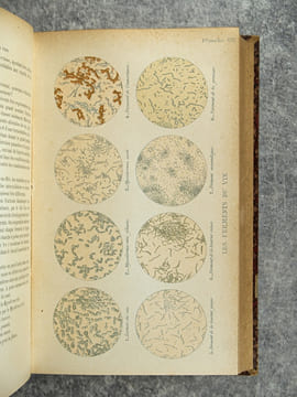 TRAITE DES MALADIES DES VINS. DESCRIPTION – ETUDE – TRAITEMENT. AVEC UNE PREFACE PAR U. GAYON. AVEC 13 PLANCHES HORS TEXTE ET 116 FIGURES DANS LE ...