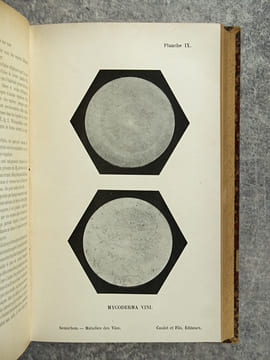 TRAITE DES MALADIES DES VINS. DESCRIPTION – ETUDE – TRAITEMENT. AVEC UNE PREFACE PAR U. GAYON. AVEC 13 PLANCHES HORS TEXTE ET 116 FIGURES DANS LE ...