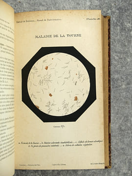 TRAITE DES MALADIES DES VINS. DESCRIPTION – ETUDE – TRAITEMENT. AVEC UNE PREFACE PAR U. GAYON. AVEC 13 PLANCHES HORS TEXTE ET 116 FIGURES DANS LE ...