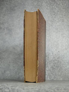 TRAITE DES MALADIES DES VINS. DESCRIPTION – ETUDE – TRAITEMENT. AVEC UNE PREFACE PAR U. GAYON. AVEC 13 PLANCHES HORS TEXTE ET 116 FIGURES DANS LE TEXTE.