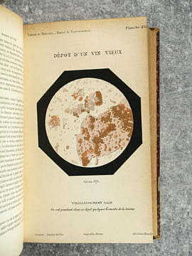 TRAITE DES MALADIES DES VINS. DESCRIPTION – ETUDE – TRAITEMENT. AVEC UNE PREFACE PAR U. GAYON. AVEC 13 PLANCHES HORS TEXTE ET 116 FIGURES DANS LE ...