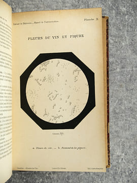 TRAITE DES MALADIES DES VINS. DESCRIPTION – ETUDE – TRAITEMENT. AVEC UNE PREFACE PAR U. GAYON. AVEC 13 PLANCHES HORS TEXTE ET 116 FIGURES DANS LE ...