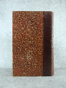 TRAITE DES MALADIES DES VINS. DESCRIPTION – ETUDE – TRAITEMENT. AVEC UNE PREFACE PAR U. GAYON. AVEC 13 PLANCHES HORS TEXTE ET 116 FIGURES DANS LE TEXTE.