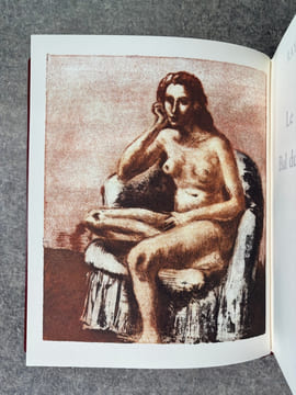 LE DIABLE AU CORPS, SUIVI DU BAL DU COMTE D’ORGEL. 75 AQUATINTES, EAUX-FORTES ET POINTES SECHES DE VINCENT TAILHARDAT. . RADIGUET RAYMOND. ...