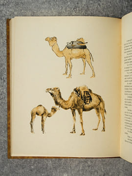CEUX D’ALGERIE. TYPES ET COUTUMES. DESSINS ORIGINAUX DE ROGER IRRIERA. . DUCHENE FERDINAND.