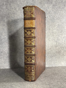 REMARQUES CRITIQUES SUR LE DICTIONNAIRE DE BAYLE. 