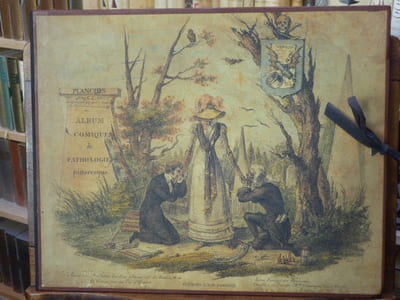 ALBUM COMIQUE DE PATHOLOGIE PITTORESQUE.
