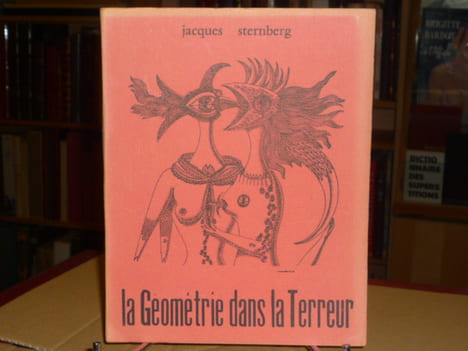 La Géométrie dans la Terreur.. STERNBERG Jacques - CURVAL Philippe