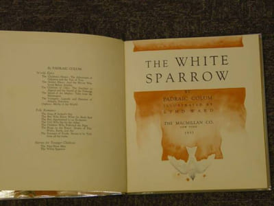 The white sparrow.