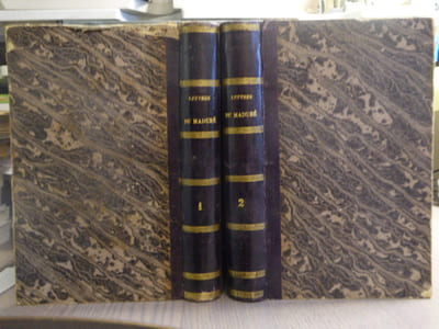Lettres édifiantes et curieuses de la nouvelle mission du Maduré.