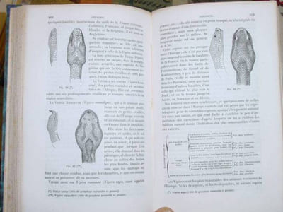 zoologie médicale. exposé méthodique du règne animal basé sur l'anatomie, l'embryogénie et la paléontologie comprenant la description des espèces employées en médecine de celles qui sont venimeuses et de celles qui sont parasites de l'homme et des animaux