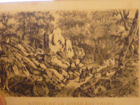 Souvenirs de Fontainebleau. Album Genévrier.. DENECOURT