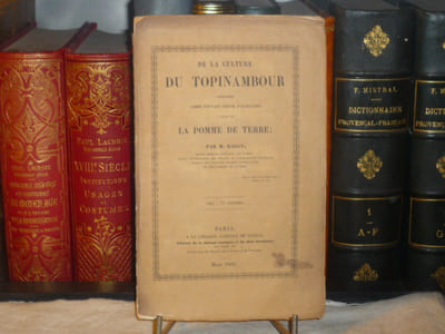 De la culture du TOPINAMBOUR considérée comme pouvant servir d'auxiliaire à celle de la POMME DE TERRE.