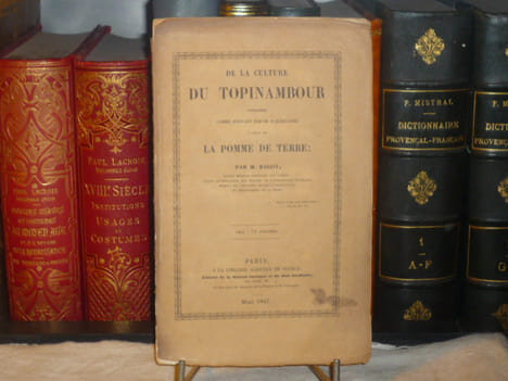 De la culture du TOPINAMBOUR considérée comme pouvant servir d'auxiliaire à celle de la POMME DE TERRE.. BAGOT