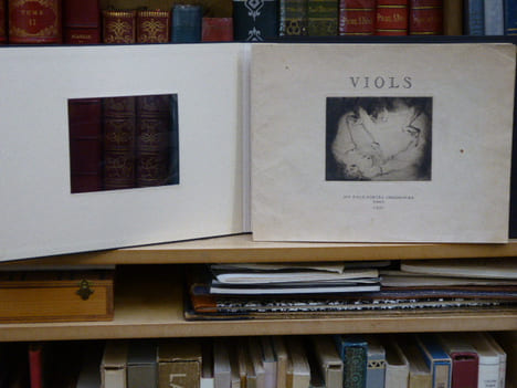 VIOLS.. COLLOT André
