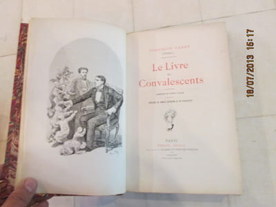 Le livre des Convalescents