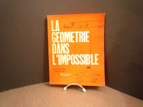La Géométrie dans l'Impossible. STERNBERG Jacques