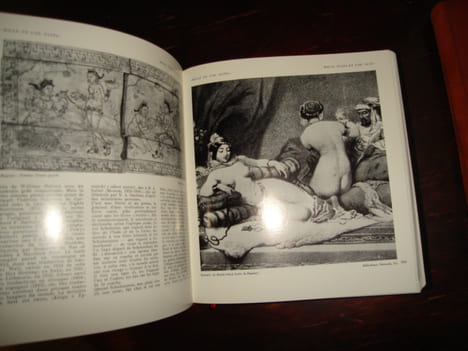 Nouveau Dictionnaire de Sexologie. COLLECTIF