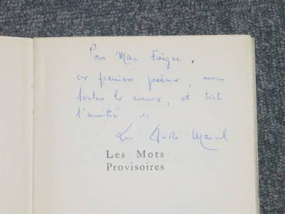 Les mots provisoires.