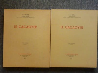 Le cacaoyer.