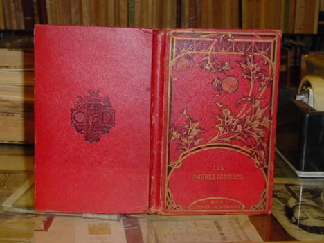 les ombres chinoises.. AURY Victorien