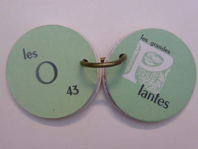 Les grandes Plantes.