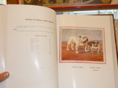 TOUS LES CHIENS. Races & Standards.. HEUILLET Hubert - LAGARRIGUE André
