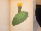 FLEURS DE LA PALESTINE. 54 feuilles en chromo-lithographie, dessinées, d'après nature.. ZELLER Hanna Née GOBAT