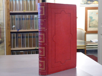LE LIVRE DES CONSERVES ou recettes pour préparer et conserver les viandes et les poissons salés et fumés, les terrines, les galantines, les légumes, les fruits, les confitures, les liqueurs de famille, les sirops, les petites fours, etc. etc.