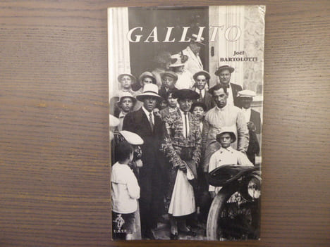 GALLITO, matador de toros. De l'enfant roi au dieu mortel.. BARTOLOTTI Joël