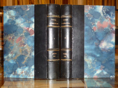 CONGRES ARCHEOLOGIQUE DE FRANCE. LXXVIe session tenue à Avignon en 1909 - Tome 1: Guide archéologique du Congrès d'Avignon  -  Tome II: Procès-verbaux ...